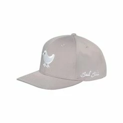 Bad Birdie Birdie Snapback Hat -golf ball Shop bad birdie birdie snapback hat grey 02 22443.1632941602