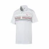 Puma Mattr Canyon Polo -golf ball Shop puma mattr canyon polo white ski patrol 01 01051.1662137881