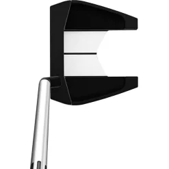 TaylorMade Golf Taylormade Spider GT Splitback Small Slant Putter -golf ball Shop spider gt splitback short slant putter address view