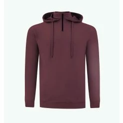 SWANNIES VanDyke Hoodie -golf ball Shop swannies vandyke hoodie maroon 01 80897.1679426278